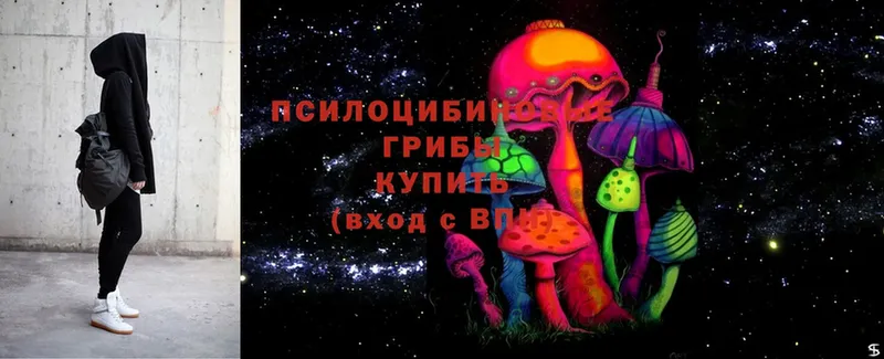 Псилоцибиновые грибы мицелий Комсомольск-на-Амуре